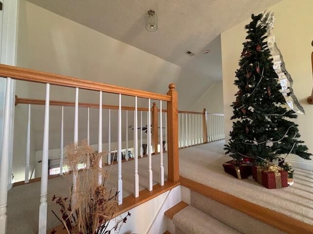 229 Shearwood Avenue, Somerset, KY 42503