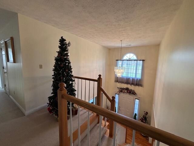 229 Shearwood Avenue, Somerset, KY 42503