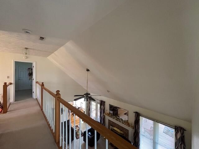 229 Shearwood Avenue, Somerset, KY 42503