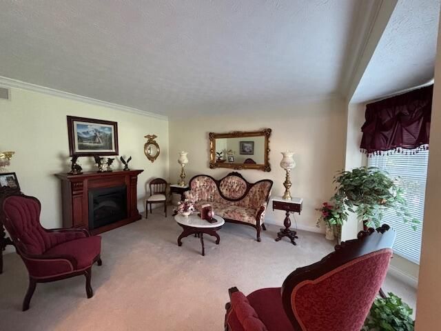 229 Shearwood Avenue, Somerset, KY 42503