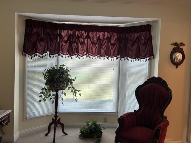 229 Shearwood Avenue, Somerset, KY 42503