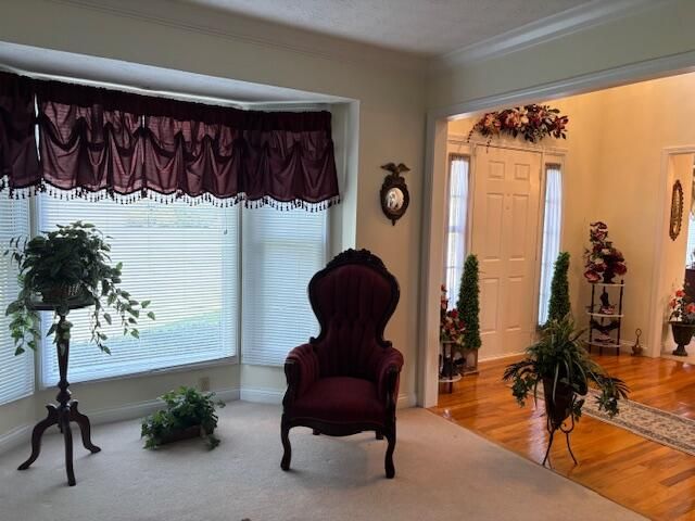 229 Shearwood Avenue, Somerset, KY 42503