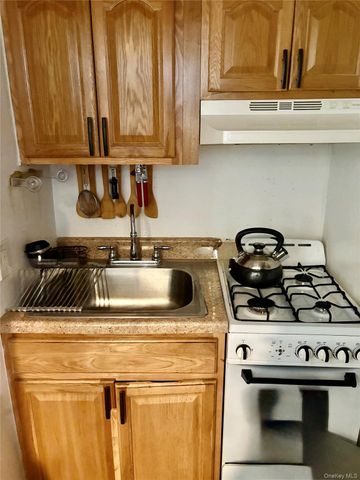 1309 E 52nd Street, Brooklyn, NY 11234