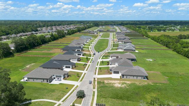 10148 Sanctuary Oaks Dr, Baton Rouge, LA 70817