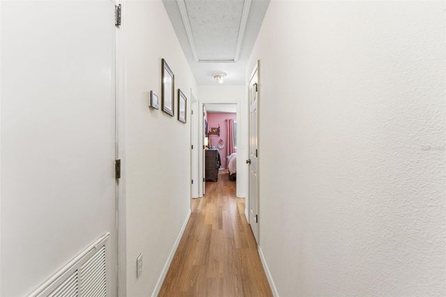 11646 MANGO RIDGE BOULEVARD, Seffner, FL 33584