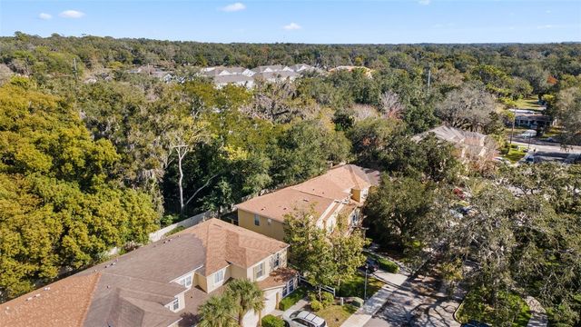 11646 MANGO RIDGE BOULEVARD, Seffner, FL 33584