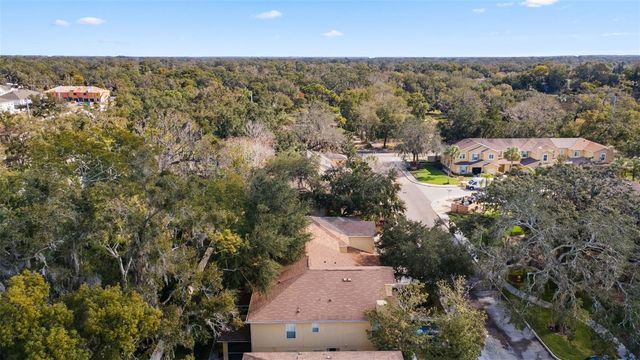 11646 MANGO RIDGE BOULEVARD, Seffner, FL 33584