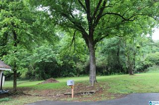 1325 AVENUE V, Birmingham, AL 35218