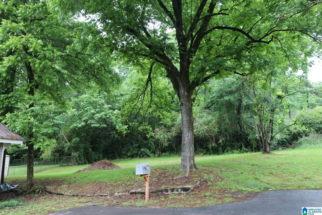 1325 AVENUE V, Birmingham, AL 35218