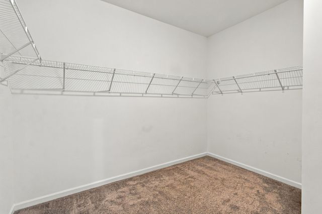 497 Buddy Dr, Columbia, TN 38401