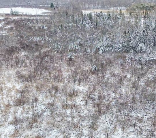 Eddy Road, Theresa, NY 13691