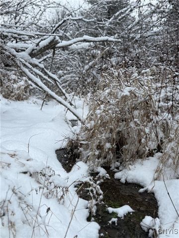 Eddy Road, Theresa, NY 13691