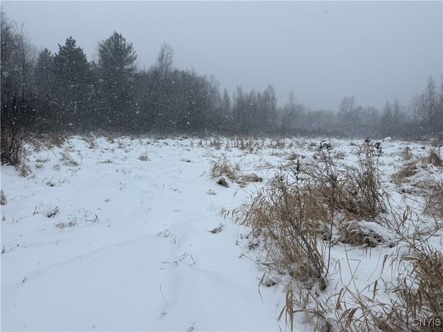 Eddy Road, Theresa, NY 13691