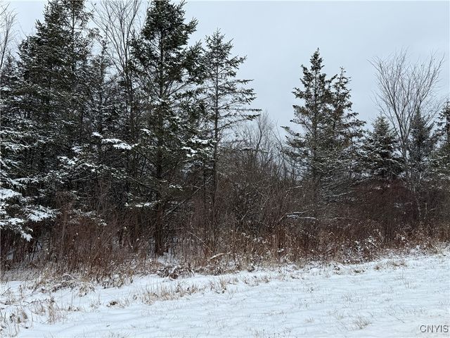 Eddy Road, Theresa, NY 13691