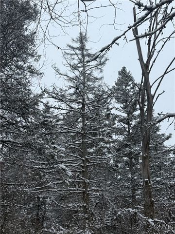 Eddy Road, Theresa, NY 13691