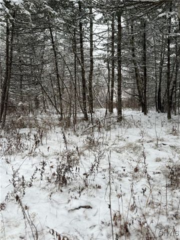 Eddy Road, Theresa, NY 13691