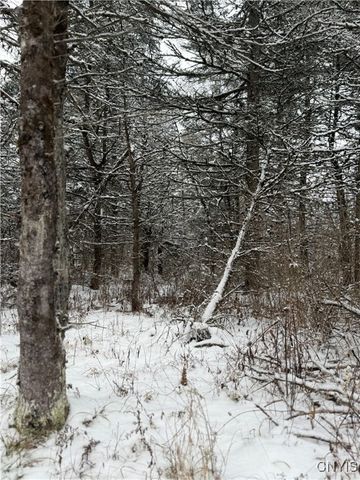 Eddy Road, Theresa, NY 13691