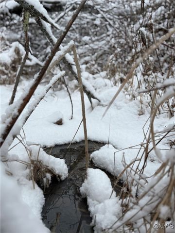 Eddy Road, Theresa, NY 13691