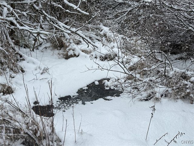 Eddy Road, Theresa, NY 13691