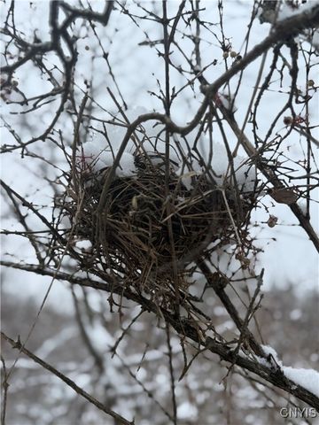 Eddy Road, Theresa, NY 13691