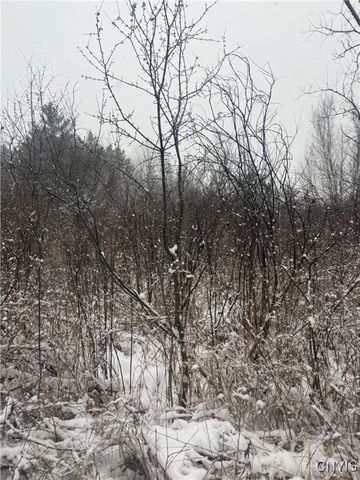 Eddy Road, Theresa, NY 13691