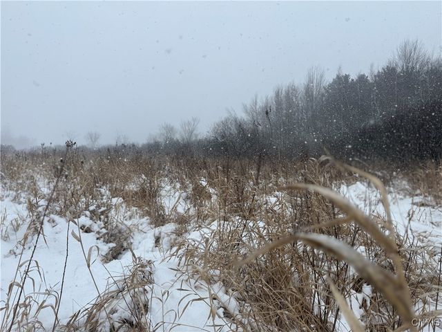 Eddy Road, Theresa, NY 13691