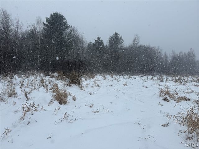 Eddy Road, Theresa, NY 13691