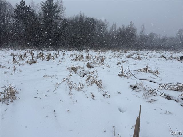 Eddy Road, Theresa, NY 13691