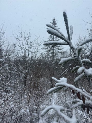 Eddy Road, Theresa, NY 13691