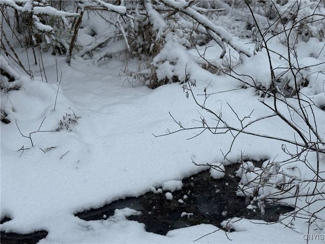 Eddy Road, Theresa, NY 13691