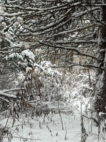 Eddy Road, Theresa, NY 13691