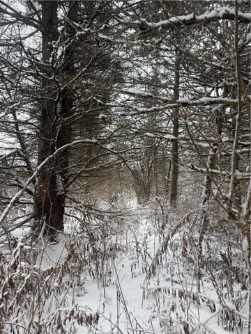 Eddy Road, Theresa, NY 13691