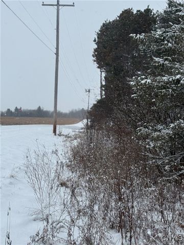 Eddy Road, Theresa, NY 13691