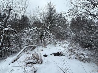 Eddy Road, Theresa, NY 13691