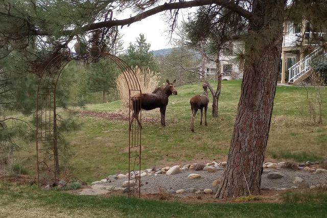 9407 N Linden Ln, Spokane, WA 99208