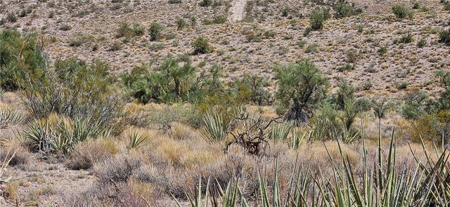 13995 E Knight Creek Road, Kingman, AZ 86401