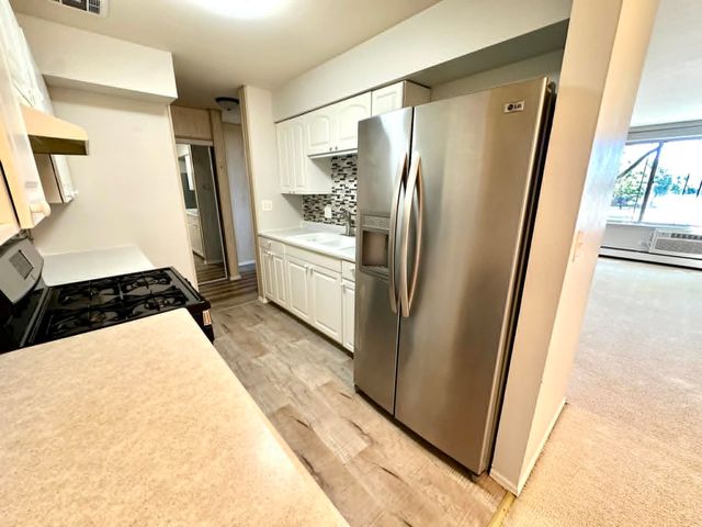 1880 Bonnie Lane 203, Hoffman Estates, IL 60169