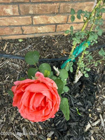 3106 CR 7650, Lubbock, TX 79423