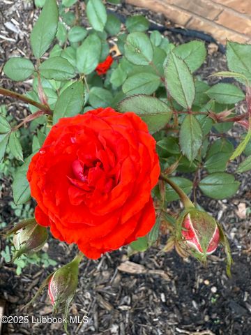 3106 CR 7650, Lubbock, TX 79423