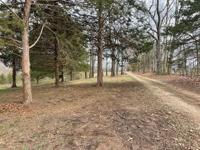 1417 State Highway 173, Galena, MO 65656