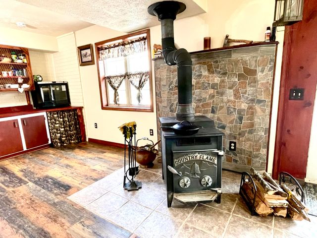 1417 State Highway 173, Galena, MO 65656