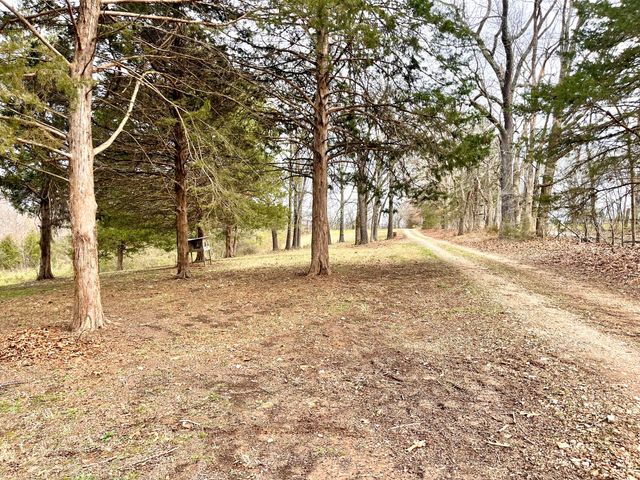 1417 State Highway 173, Galena, MO 65656