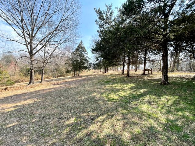 1417 State Highway 173, Galena, MO 65656