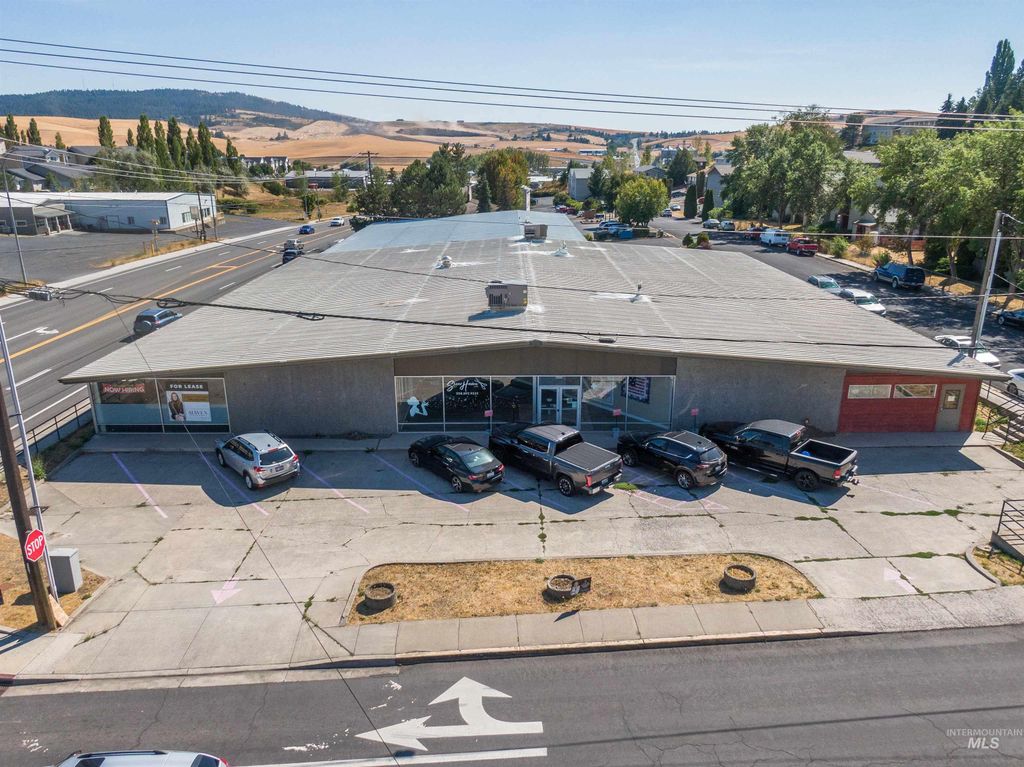 105 Lauder/1500 Levick, Moscow, ID 83843 photo 17