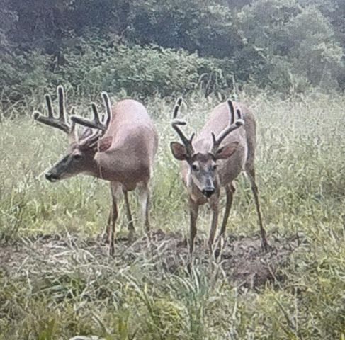 450 County Road 28, Calhoun, TN 37309