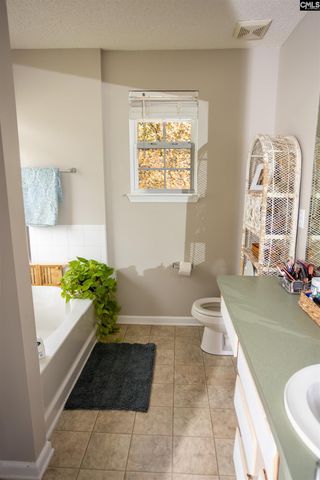 116 Owl Trace Lane, Chapin, SC 29036