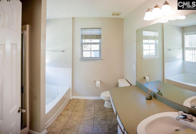 116 Owl Trace Lane, Chapin, SC 29036