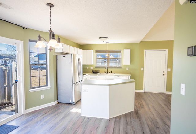 116 Owl Trace Lane, Chapin, SC 29036