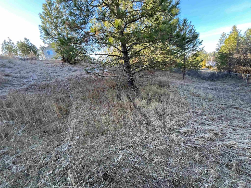 218 N Cliff Ct, Rockford, WA 99030 photo 2