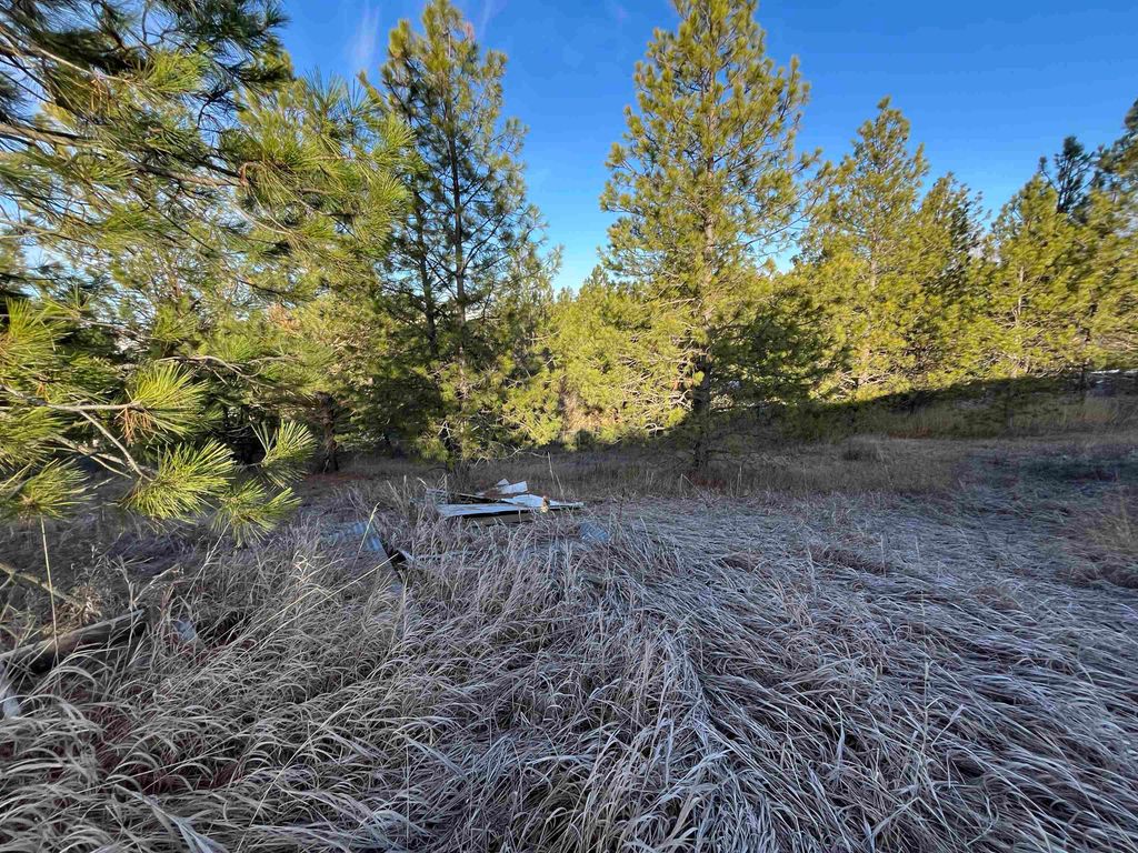 218 N Cliff Ct, Rockford, WA 99030 photo 11